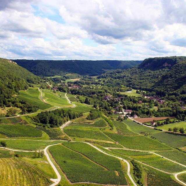 consultoría_agroalimentaria_granada Consultoría sector agroalimentario