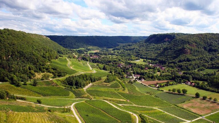 consultoría_agroalimentaria_granada Consultoría sector agroalimentario