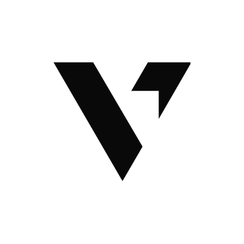 logo_vinaElectric